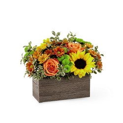 The FTD Happy Harvest Garden from Pennycrest Floral in Archbold, OH